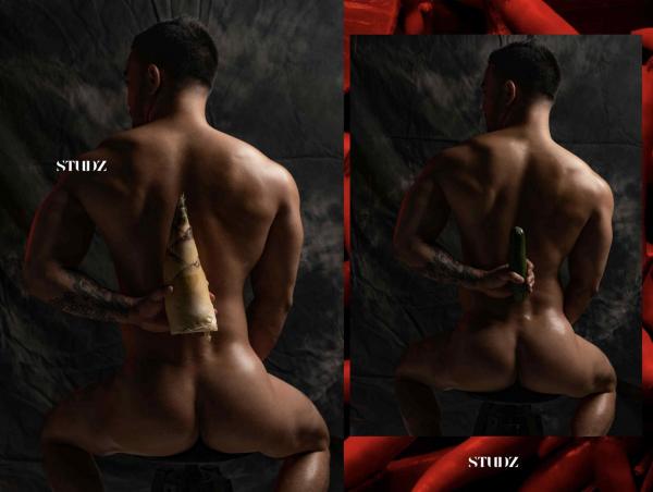 STUDZ-01--Zesty--Ebook--Video-